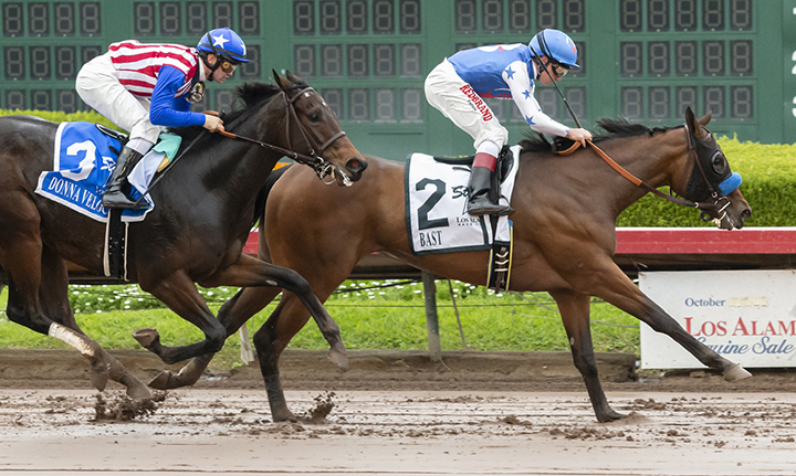 Donna Veloce finishes second in the Starlet Stakes at Los Alamitos Race Course