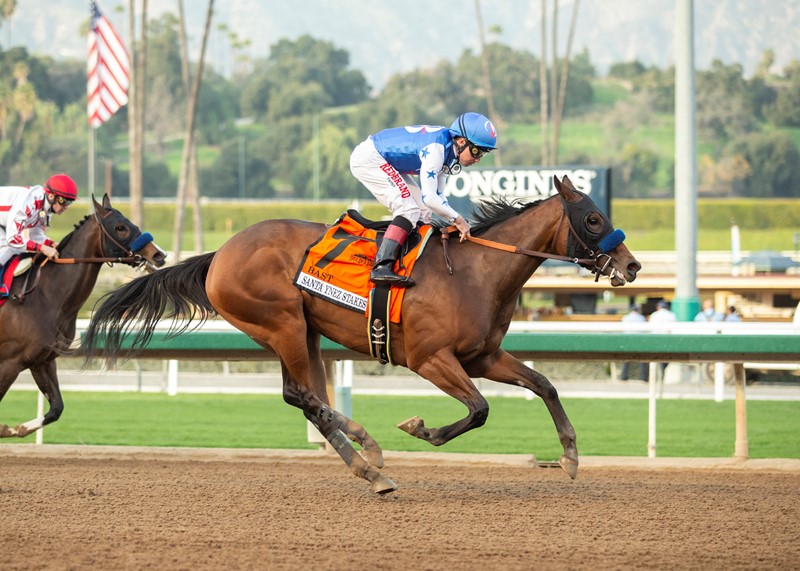 Bast wins the 2020 Santa Ynez Stakes