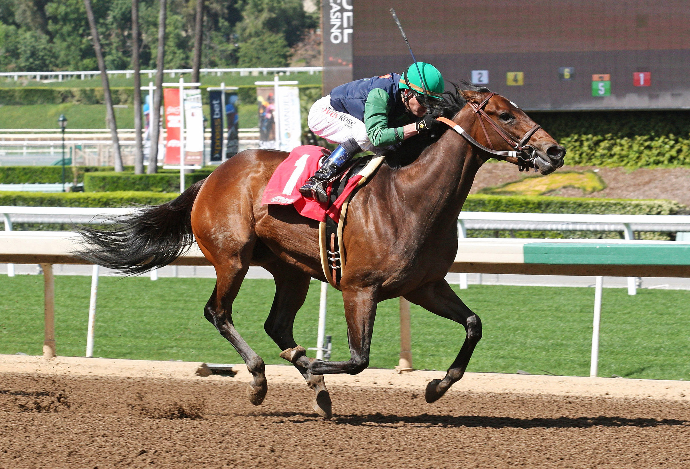 Batiquitos wins a March 16, 2017 maiden race