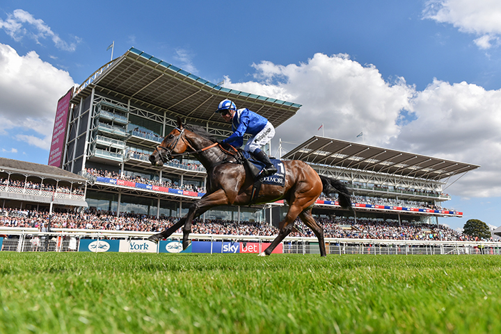 Battaash wins the Nunthorpe Stakes at York Racecourse