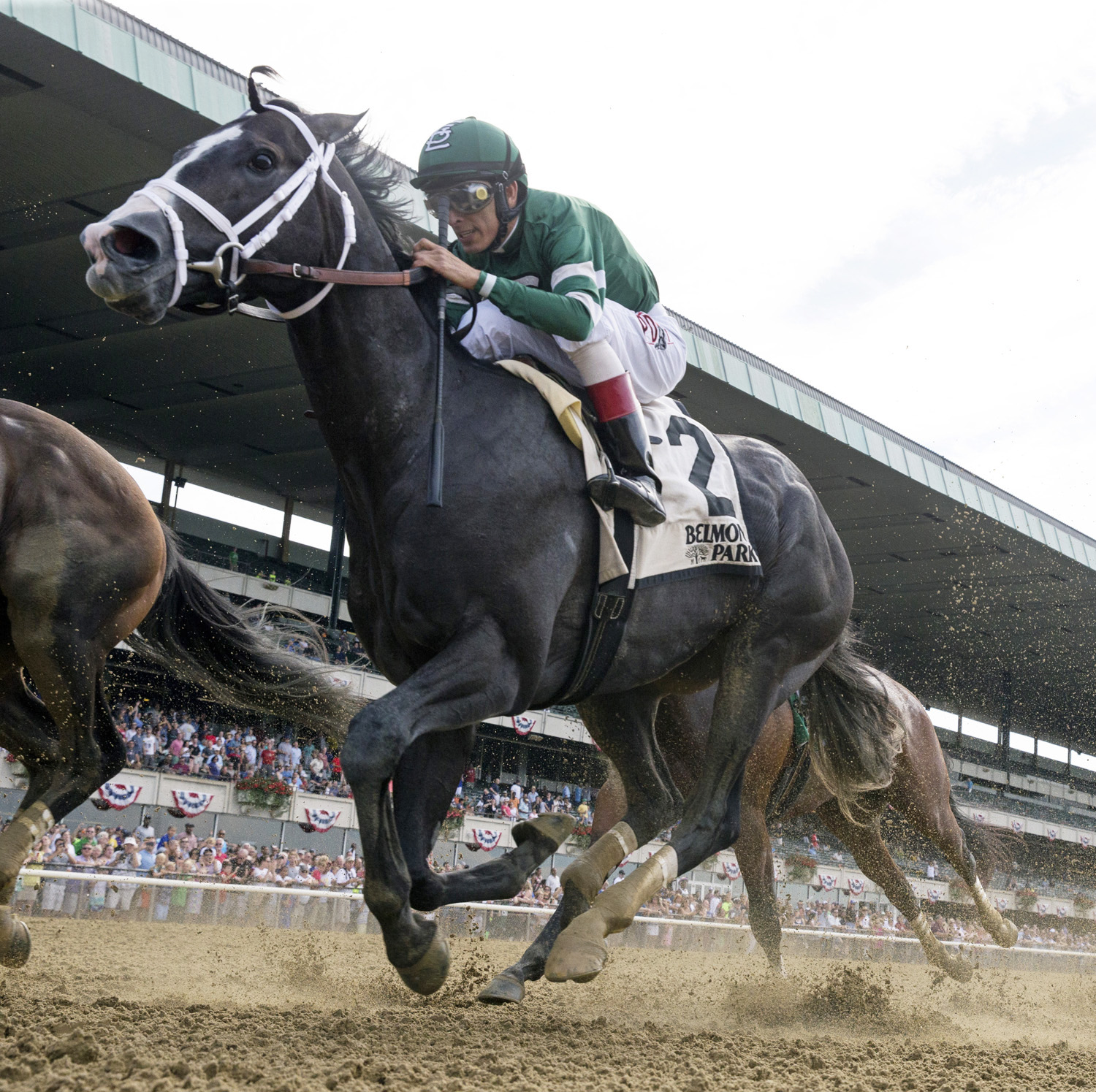 Battalion Runner finishes third in the 2017 Dwyer Stakes