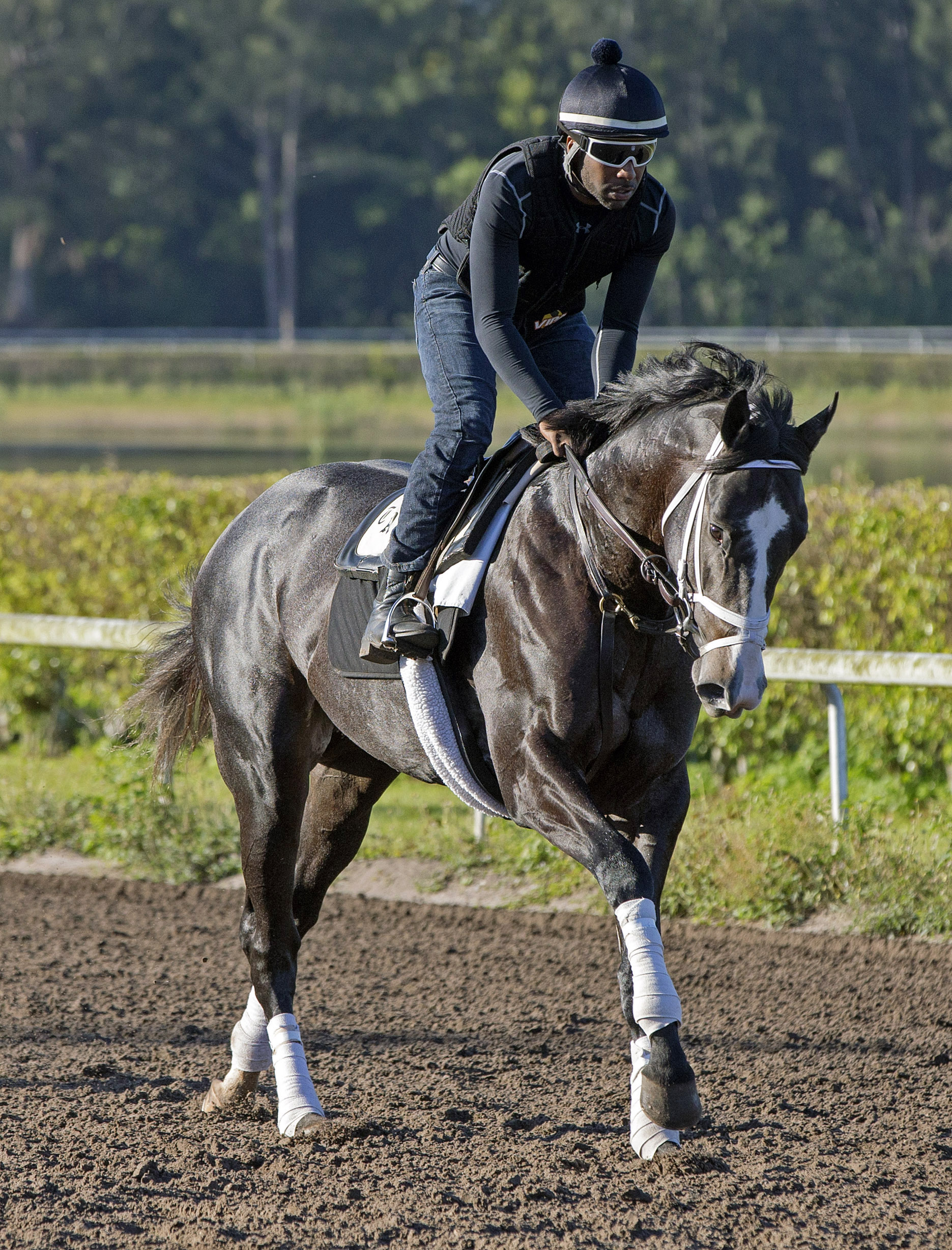 Battalion Runner trains at Palm Beach Downs on Feb. 1