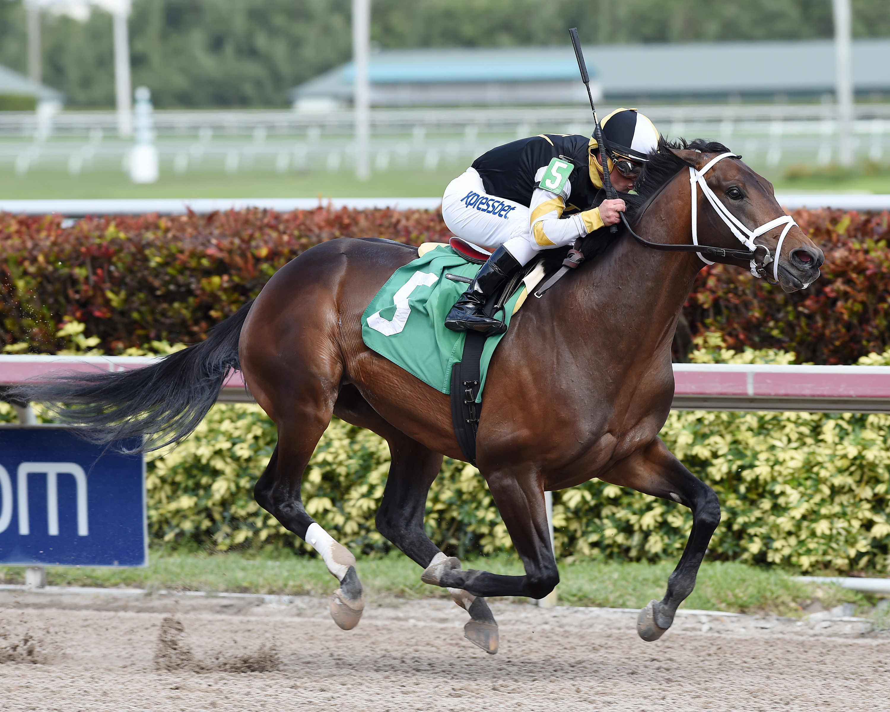 Battery wins an allowance optional claimer at Gulfstream