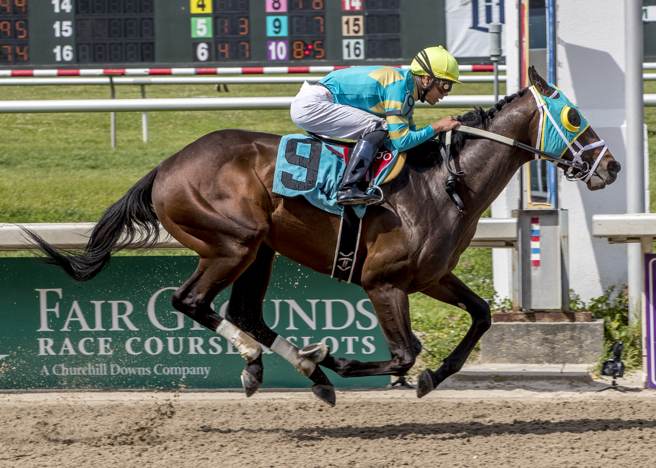 Battle at Sea wins 2018 Crescent City Derby