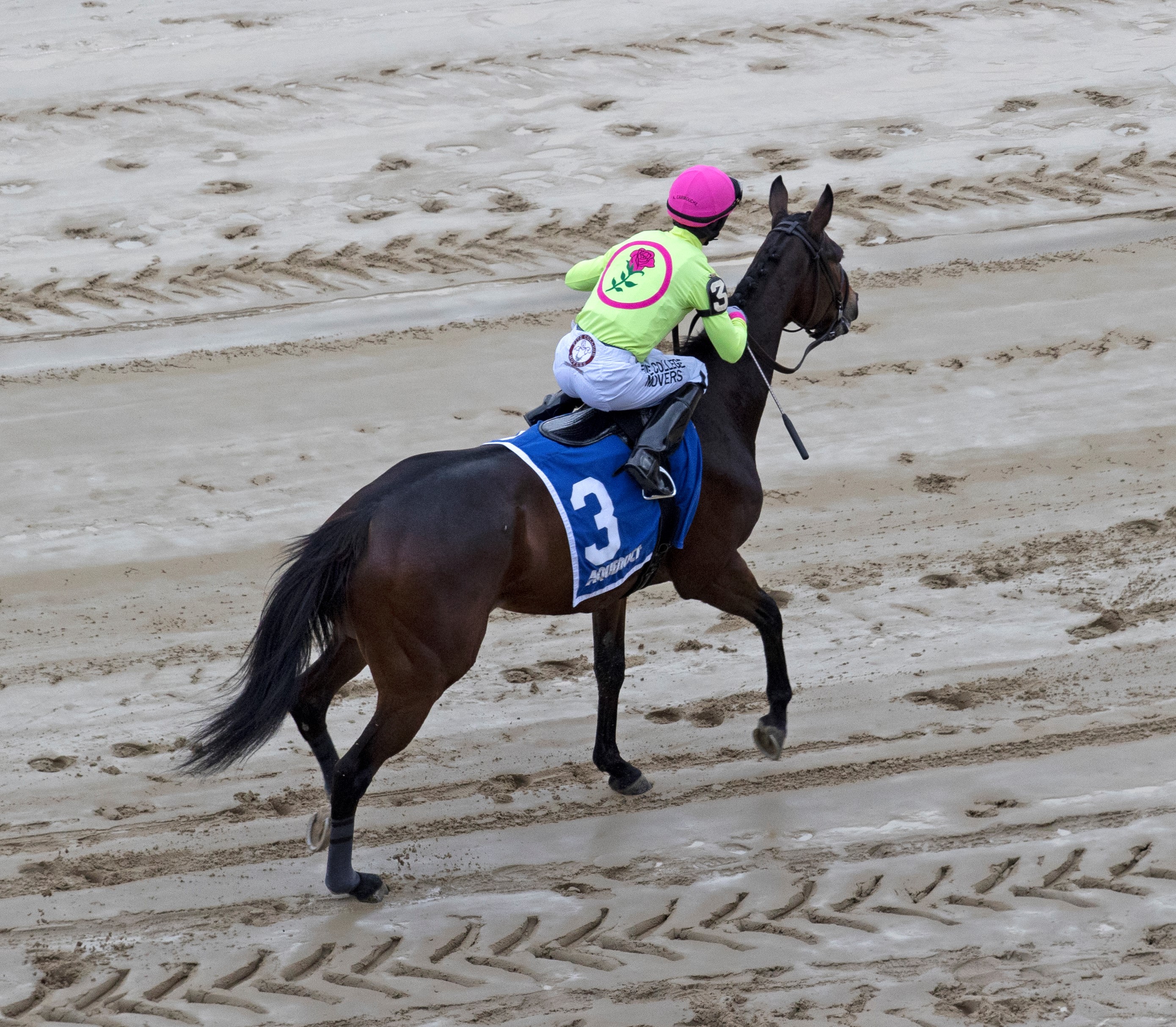 Battle Bling at Aqueduct Dec 3 2022