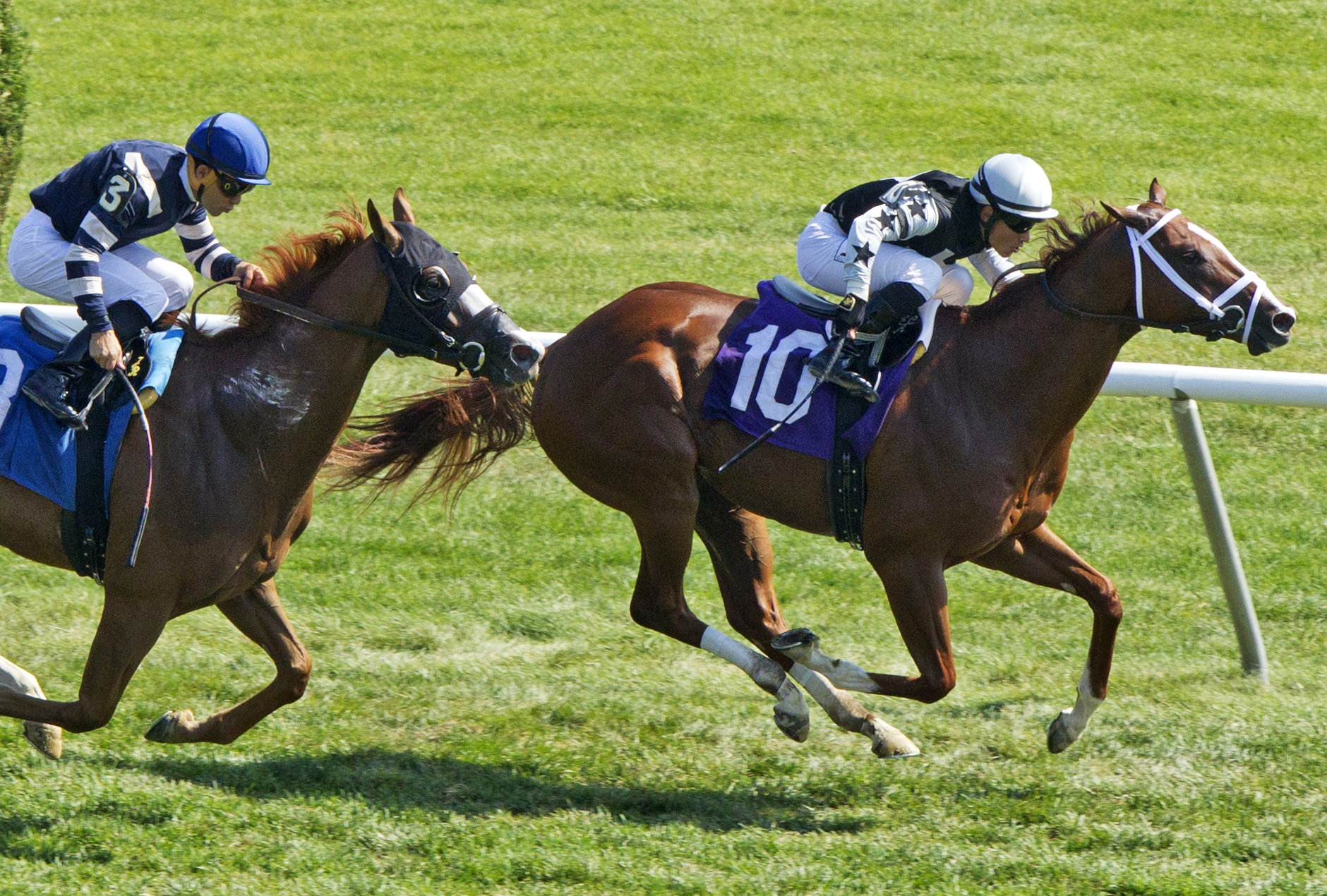 Battle Red wins a maiden race