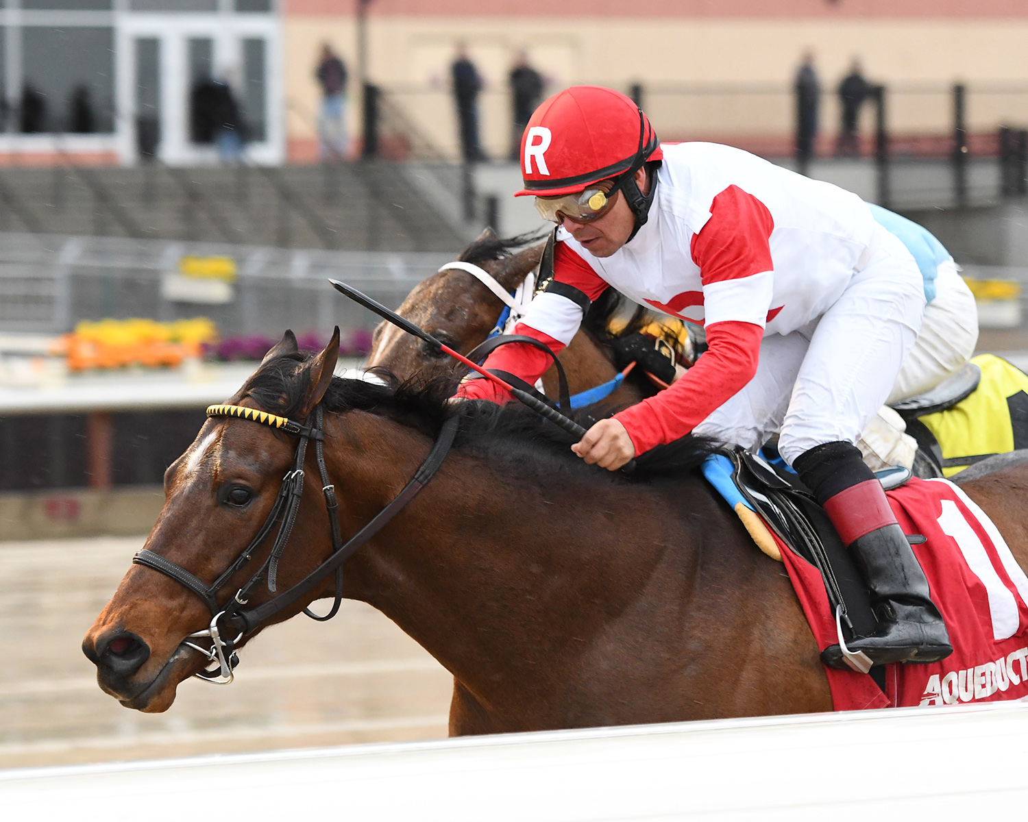Battle Station wins the 2018 Rego Park Stakes