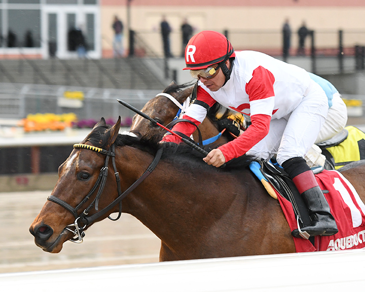 Battle Station wins the 2018 Rego Park Stakes
