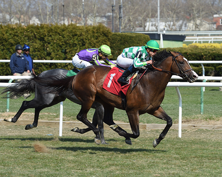 Battle of Blenheim wins a April 18 2018 allowance