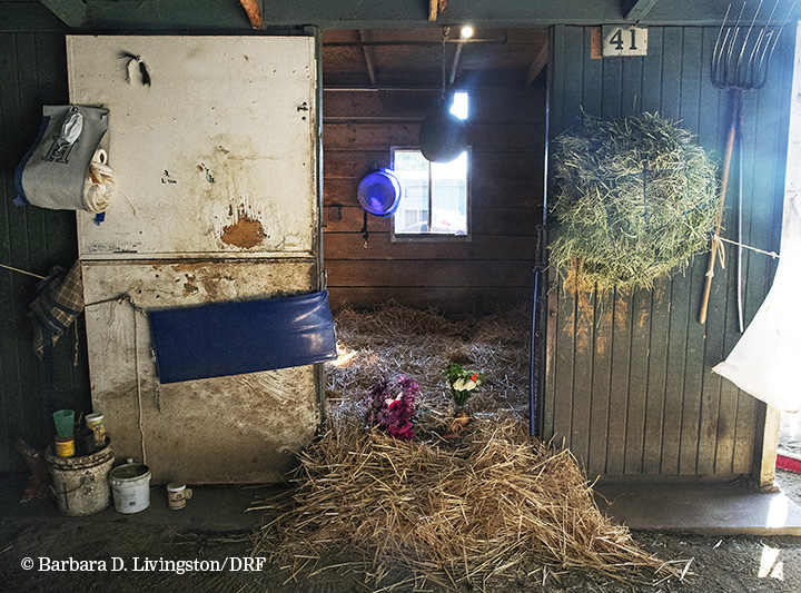 Stall 41, Battle of Midway stall, Santa Anita