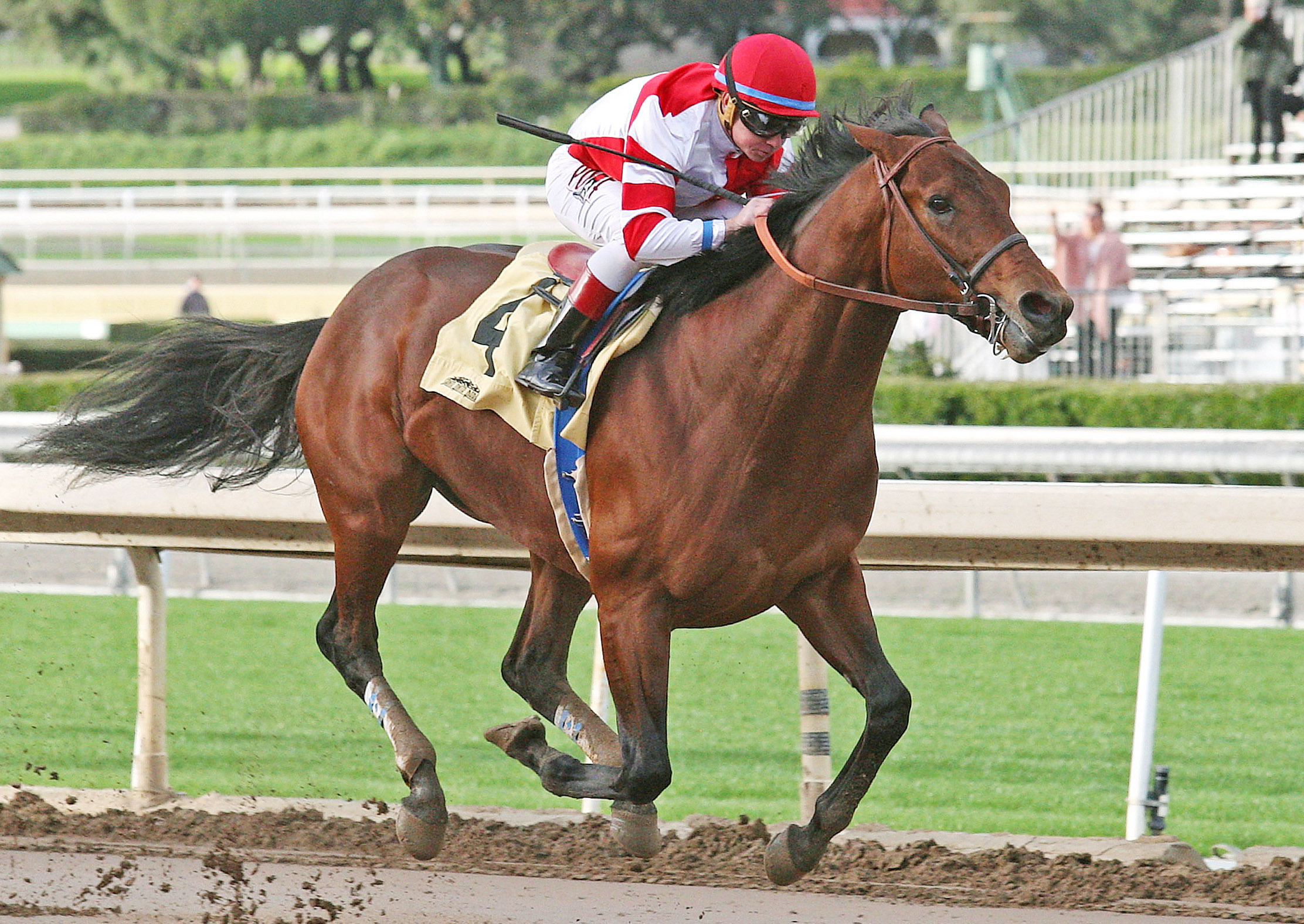 Battle of Midway wins a maiden race