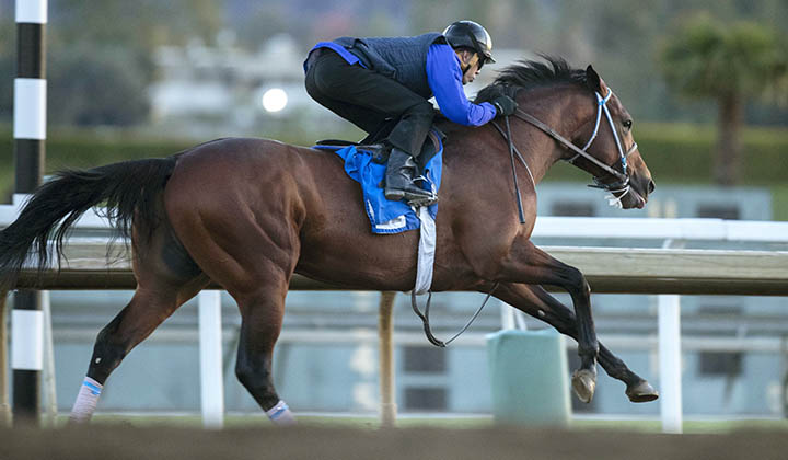 Battle of Midway trains at Santa Anita on Dec. 9