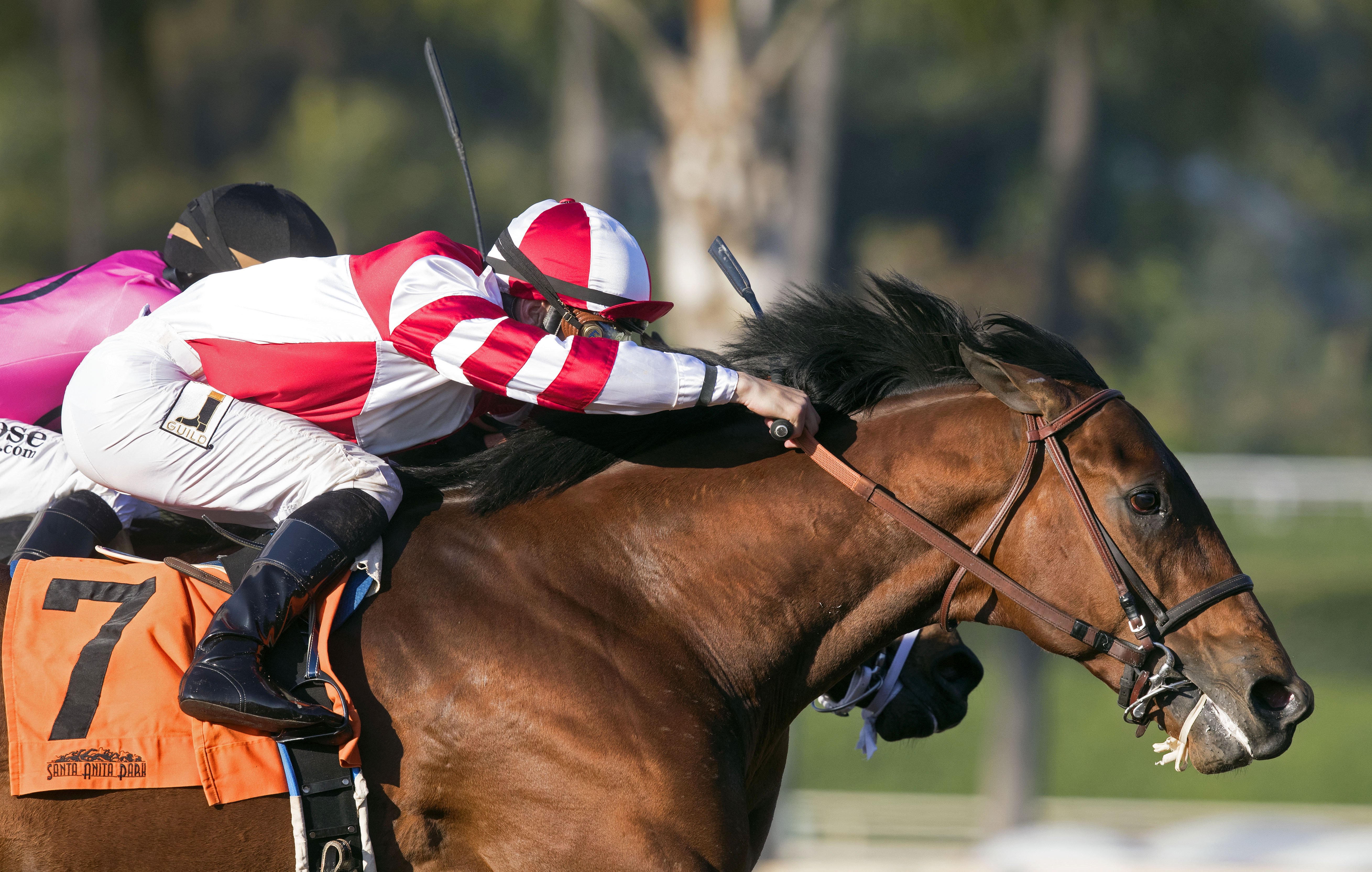 Battle of Midway wins a March 9 allowance race