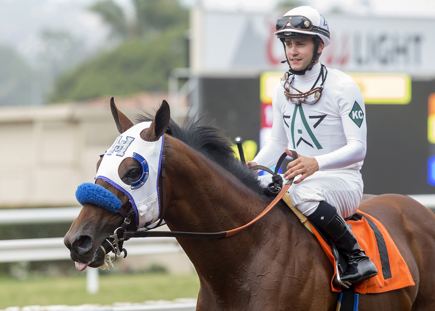 Battle of Midway at the Affirmed Stakes