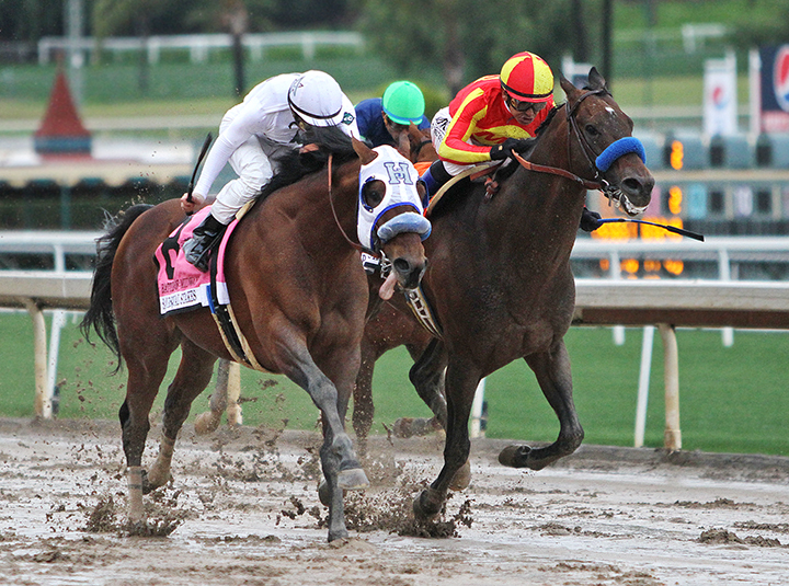 Battle of Midway wins the 2019 San Pasqual