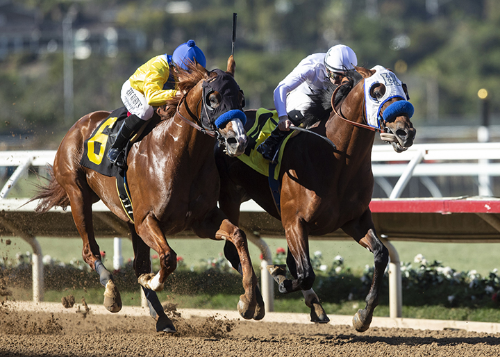 Battle of Midway wins the 2018 Native Diver