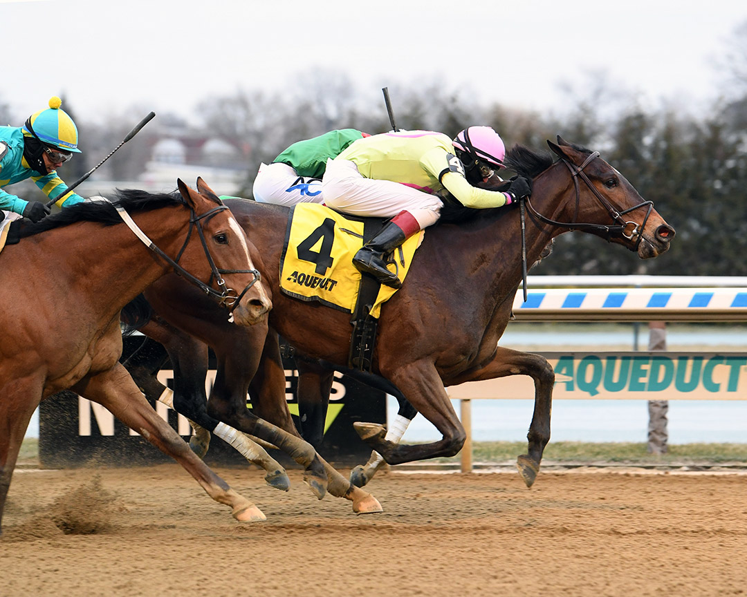 Battle Bling wins the 2022 Ladies Stakes at Aqueduct Racetrack