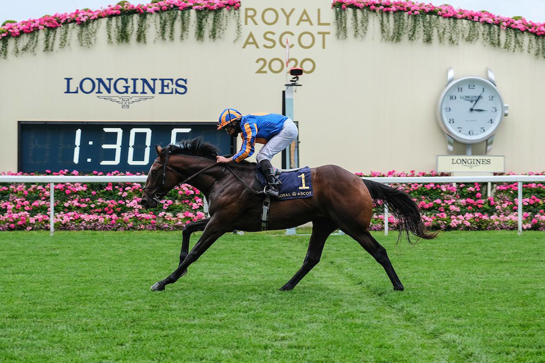 Battleground wins the 2020 Chesham Stakes at Royal Ascot