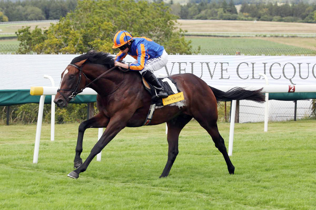 Battleground wins the 2020 Vintage Stakes at Goodwood Racecourse