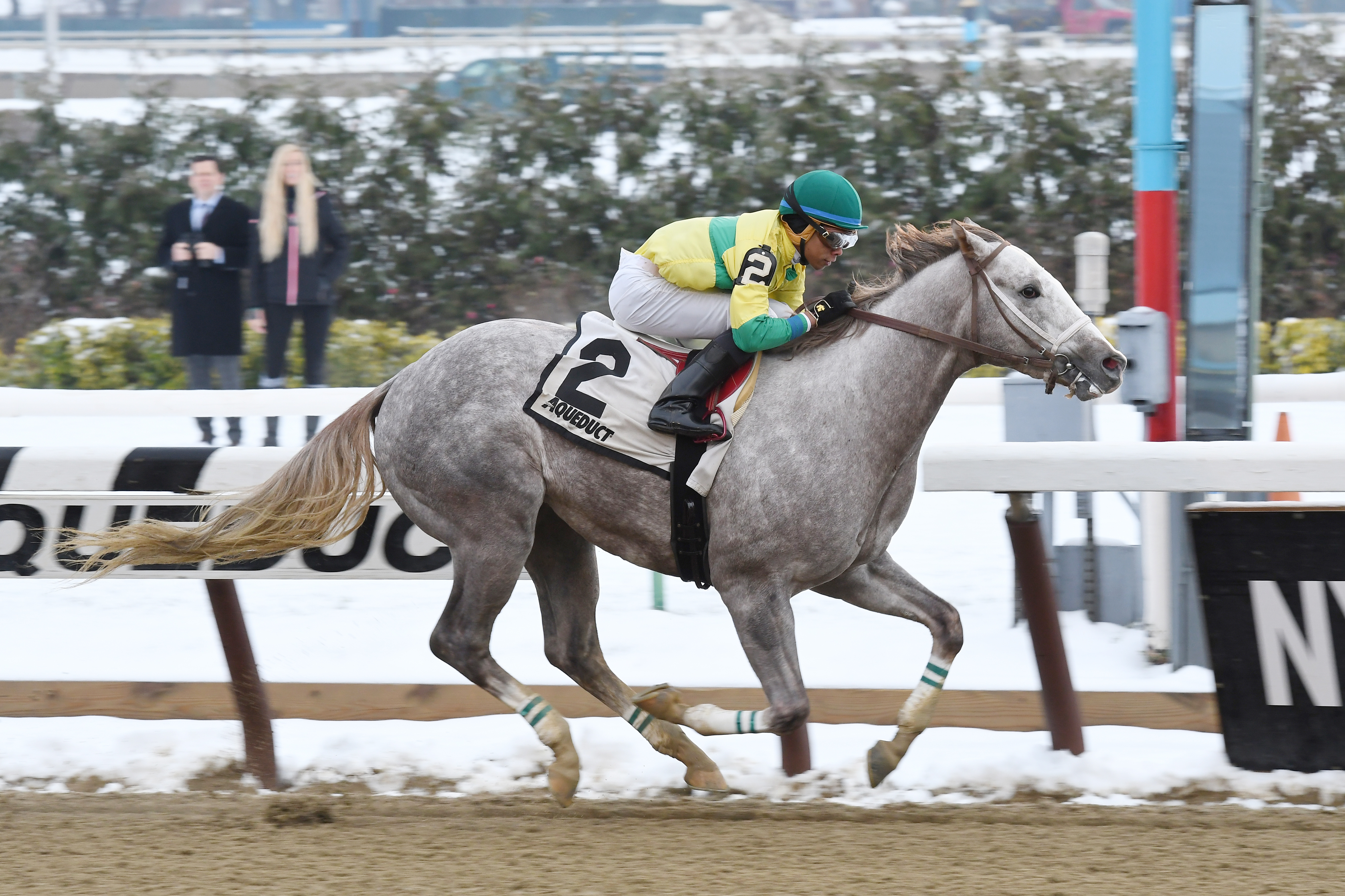 Bavaro wins the Great White Way