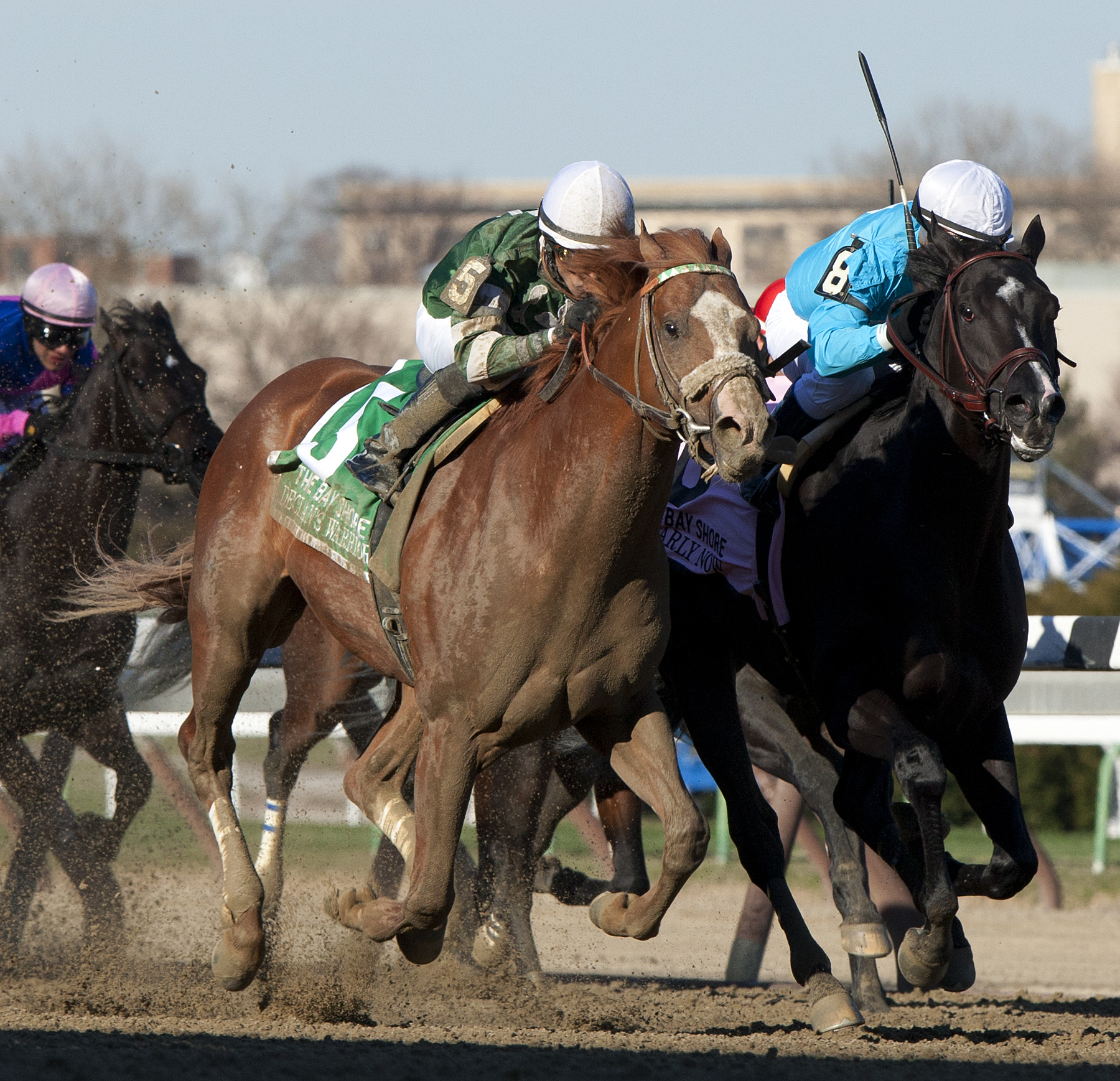 Declan's Warrior/Bay Shore