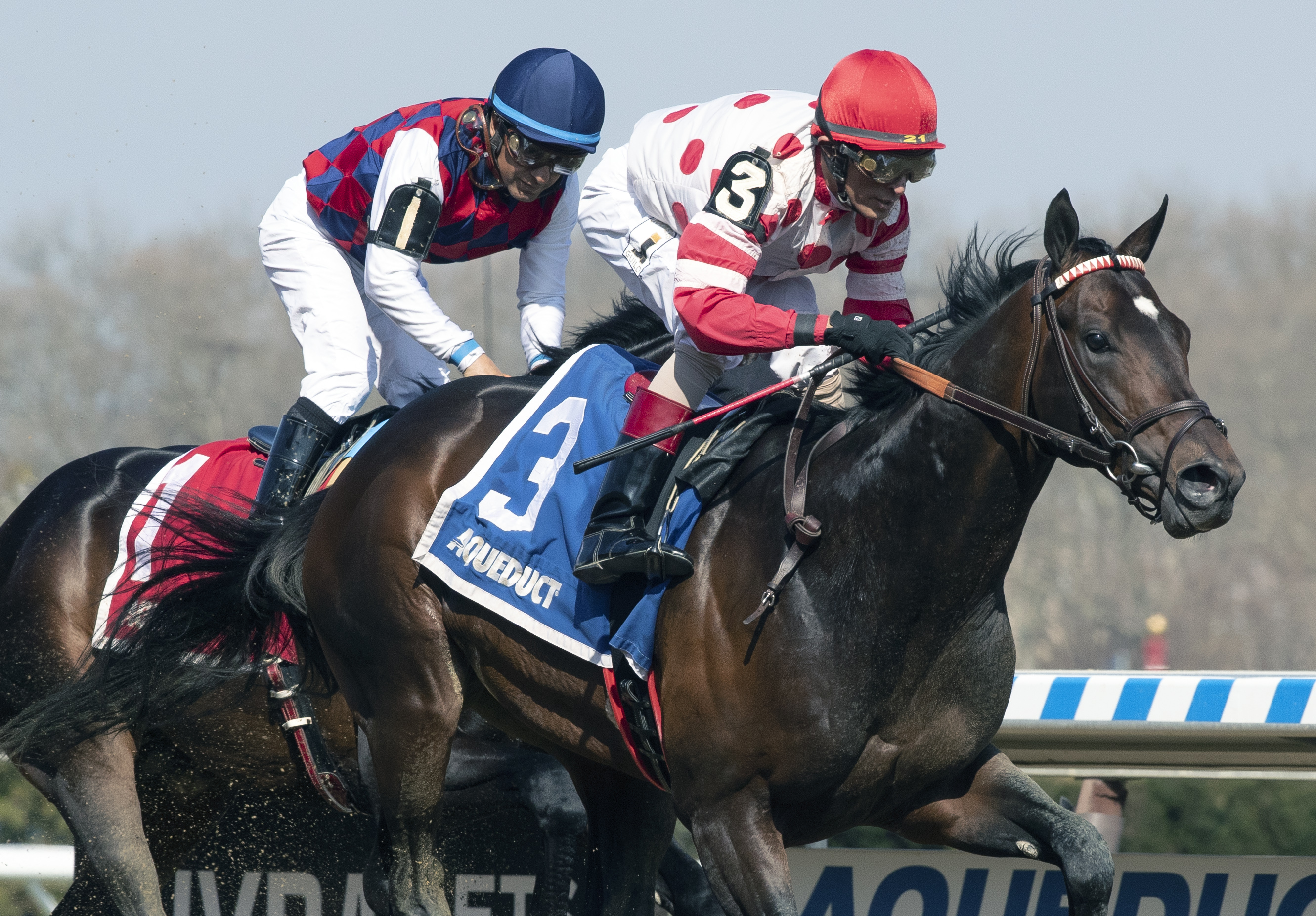 Mind Control wins the 2019 Bay Shore Stakes