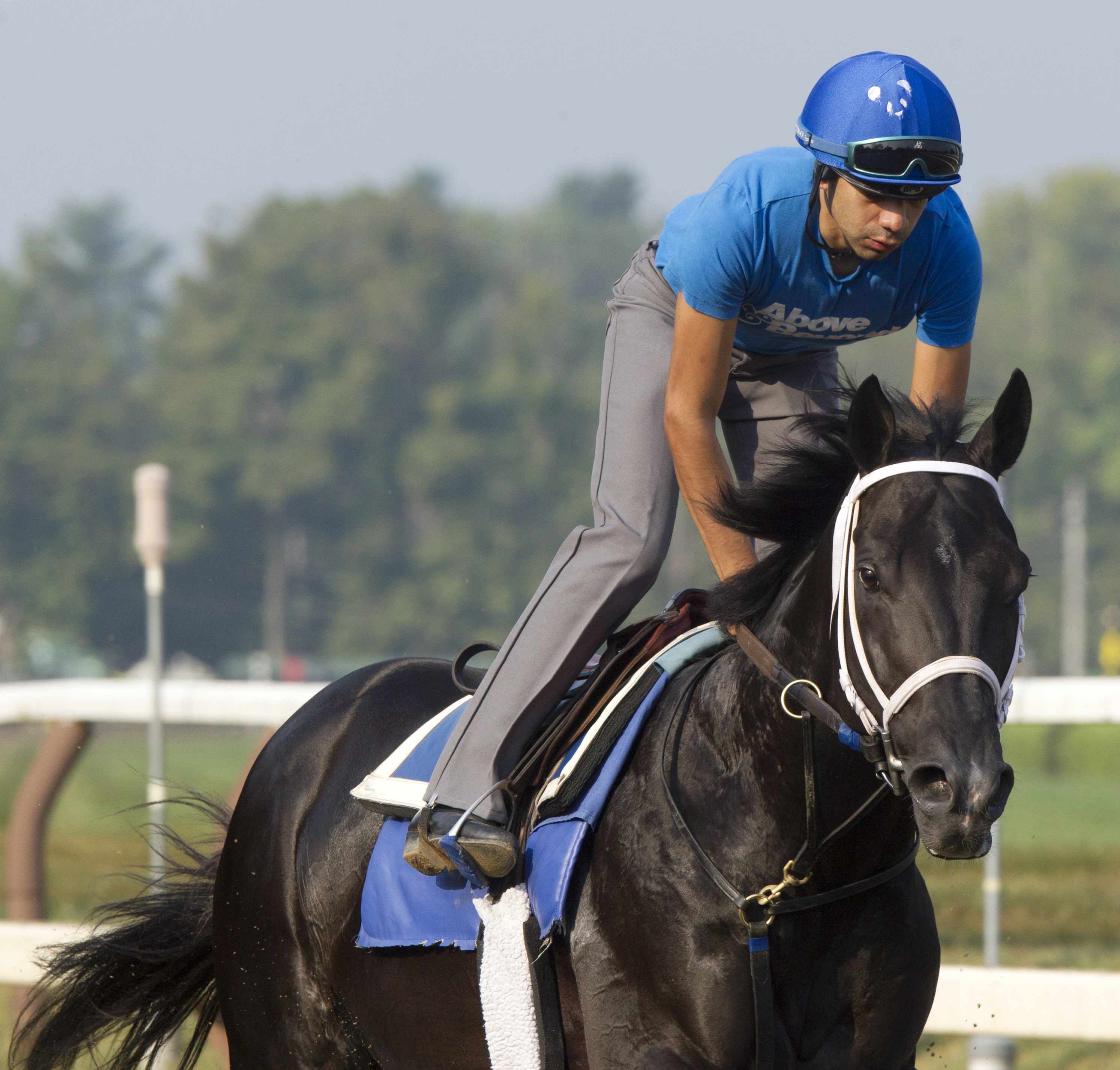 Bay of Plenty training in September 2015