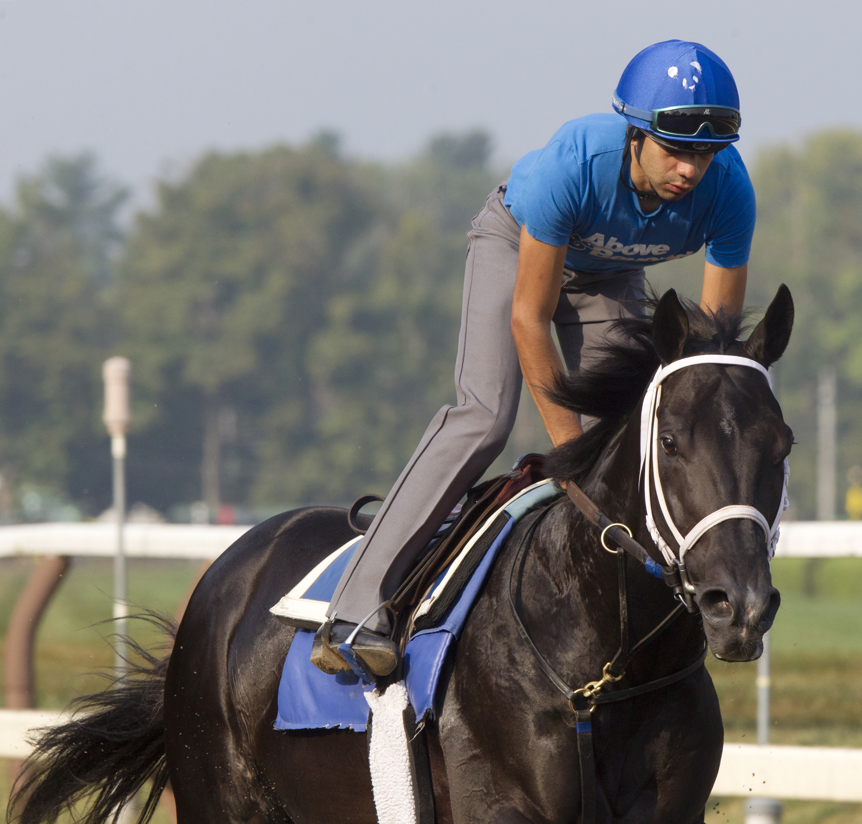 Bay of Plenty training in September 2015