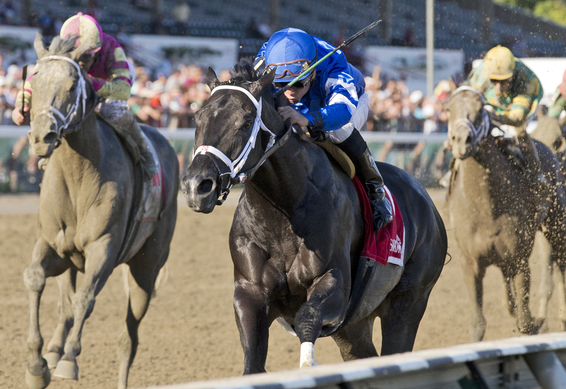 Bay of Plenty wins the Alydar