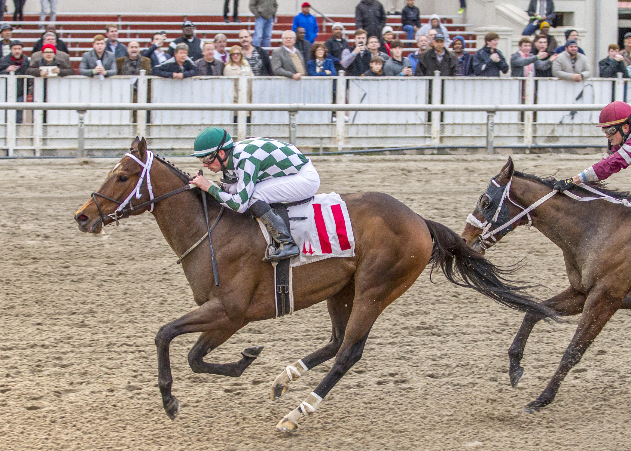 Bayerd wins the Bonapaw Stakes