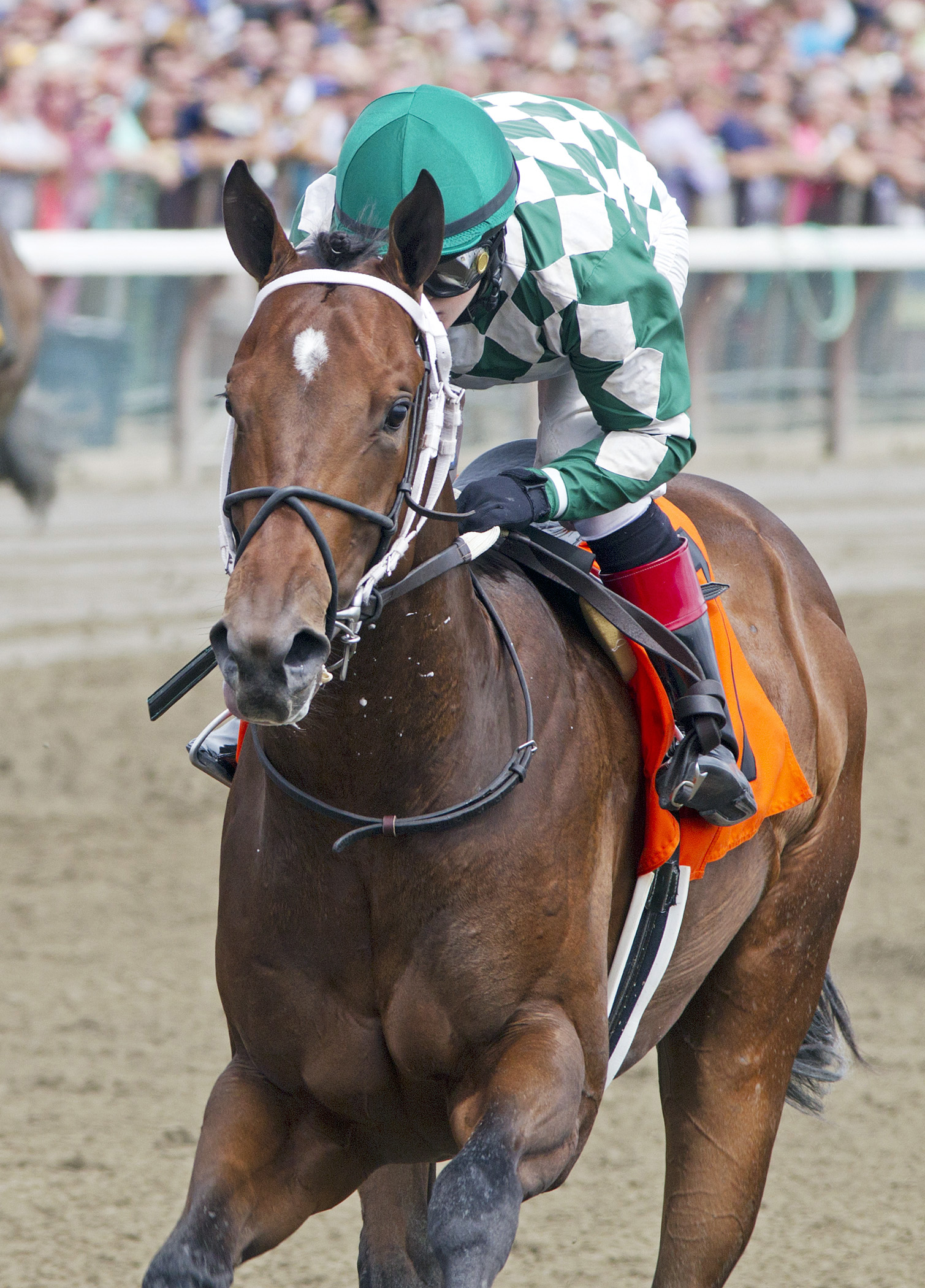 Bayerd wins a maiden race