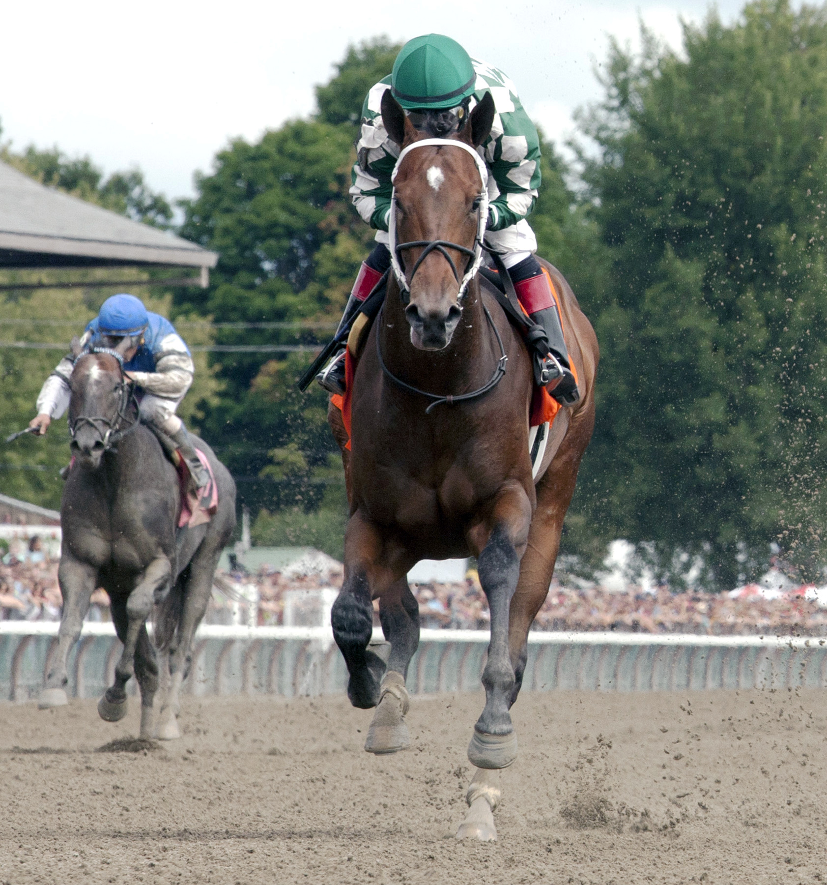 Bayerd wins a maiden race