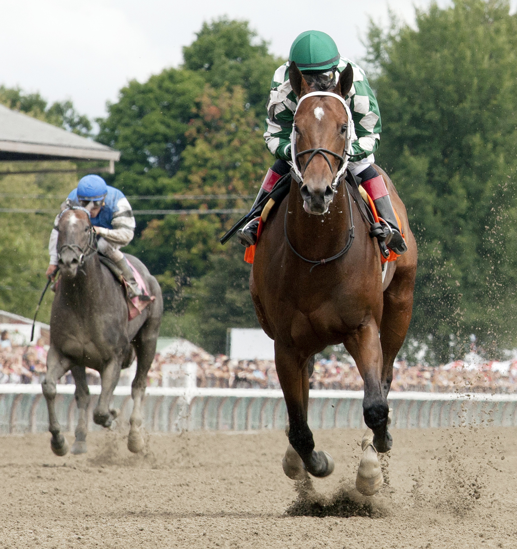 Bayerd wins a maiden race