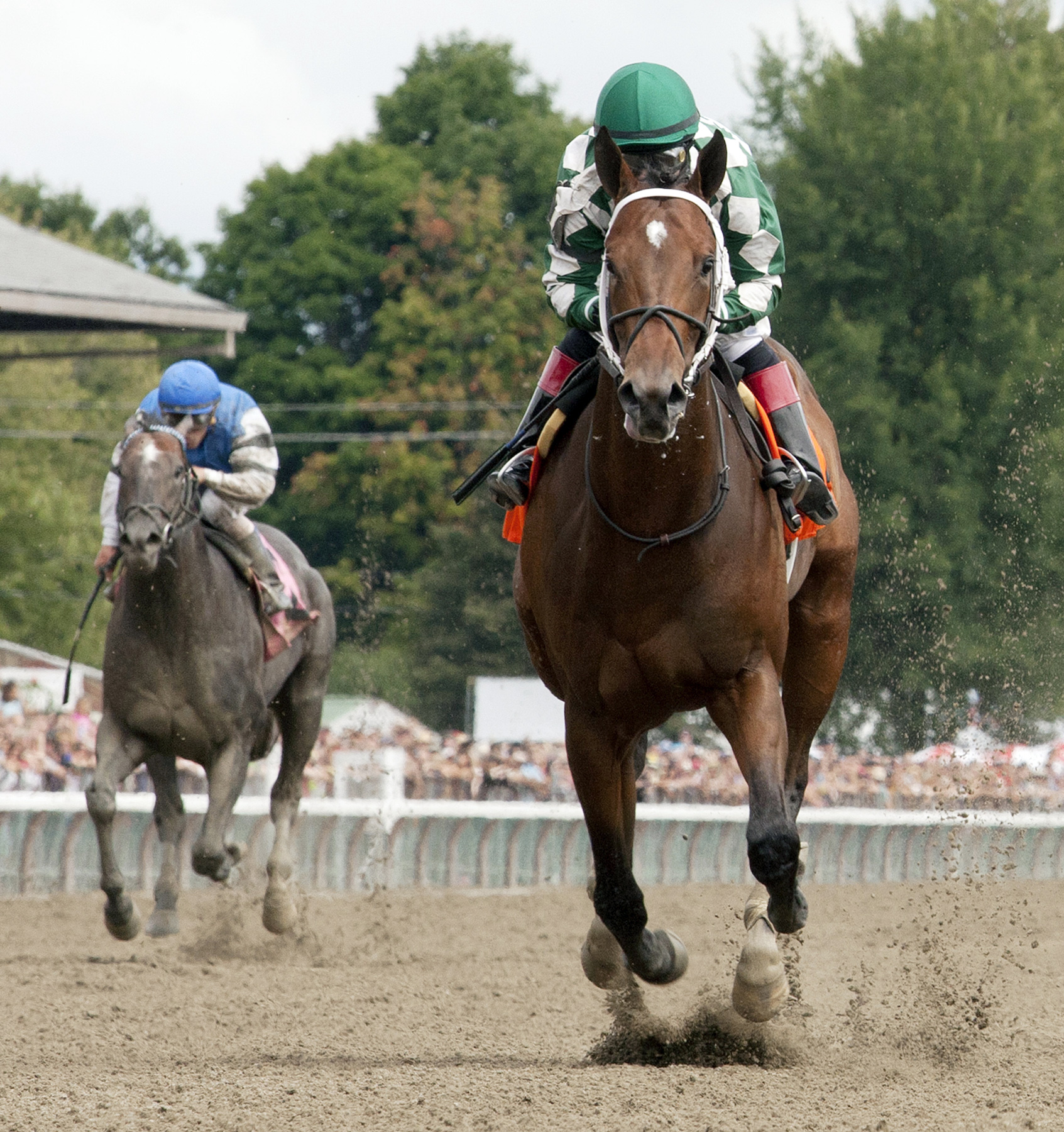 Bayerd wins a maiden race