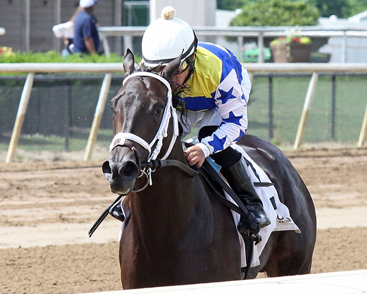 Bayerly Seen wins a June 18 maiden race