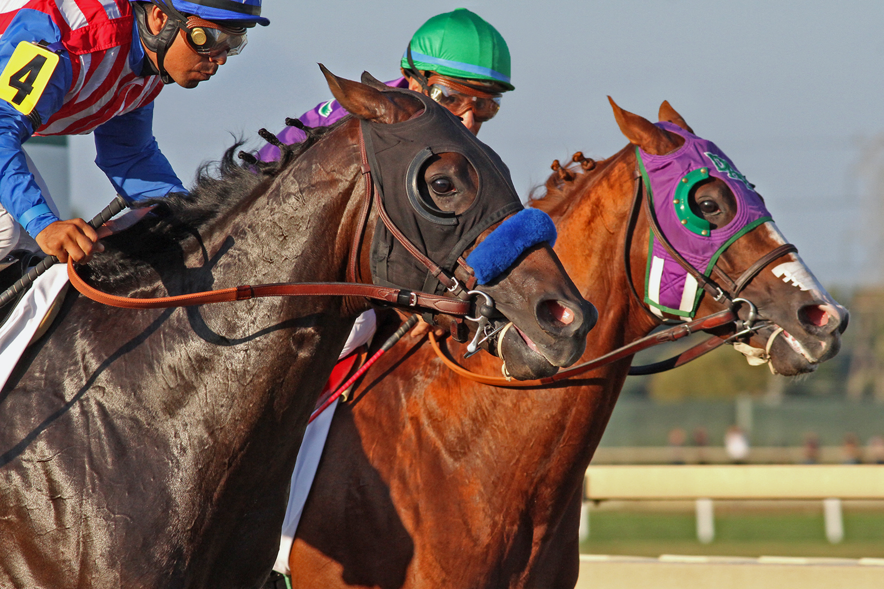 Bayern/California Chrome