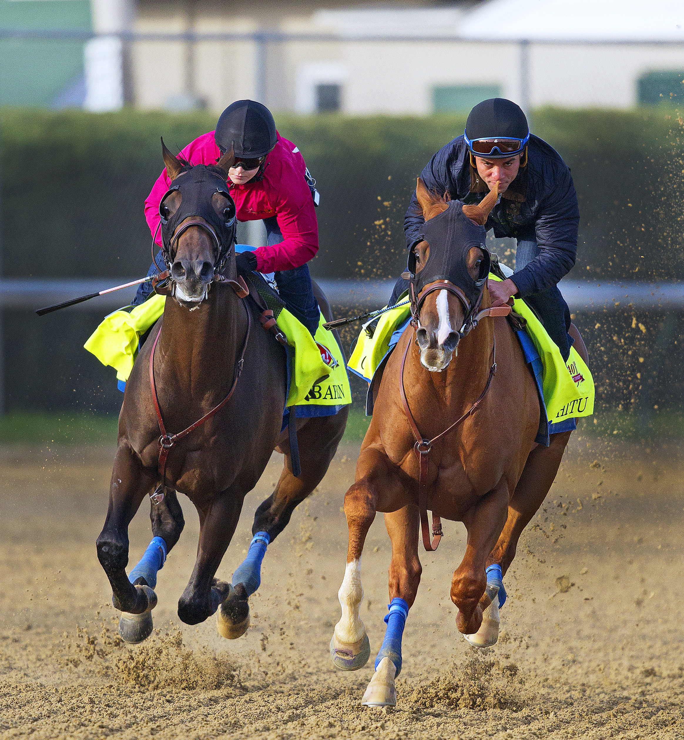 Bayern and Chitu work at Churchill on April 21