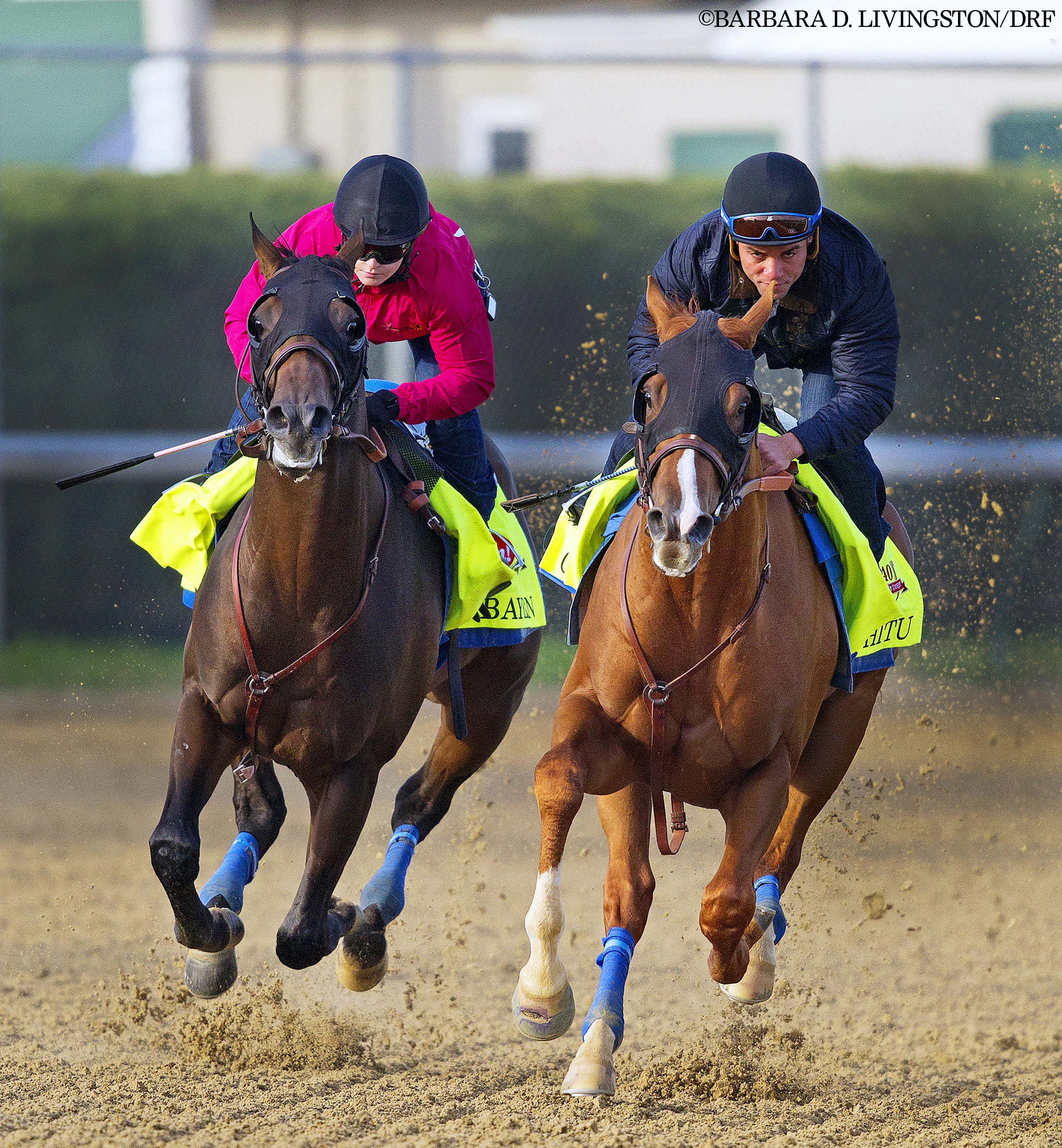 Bayern and Chitu, Derby work, April 21