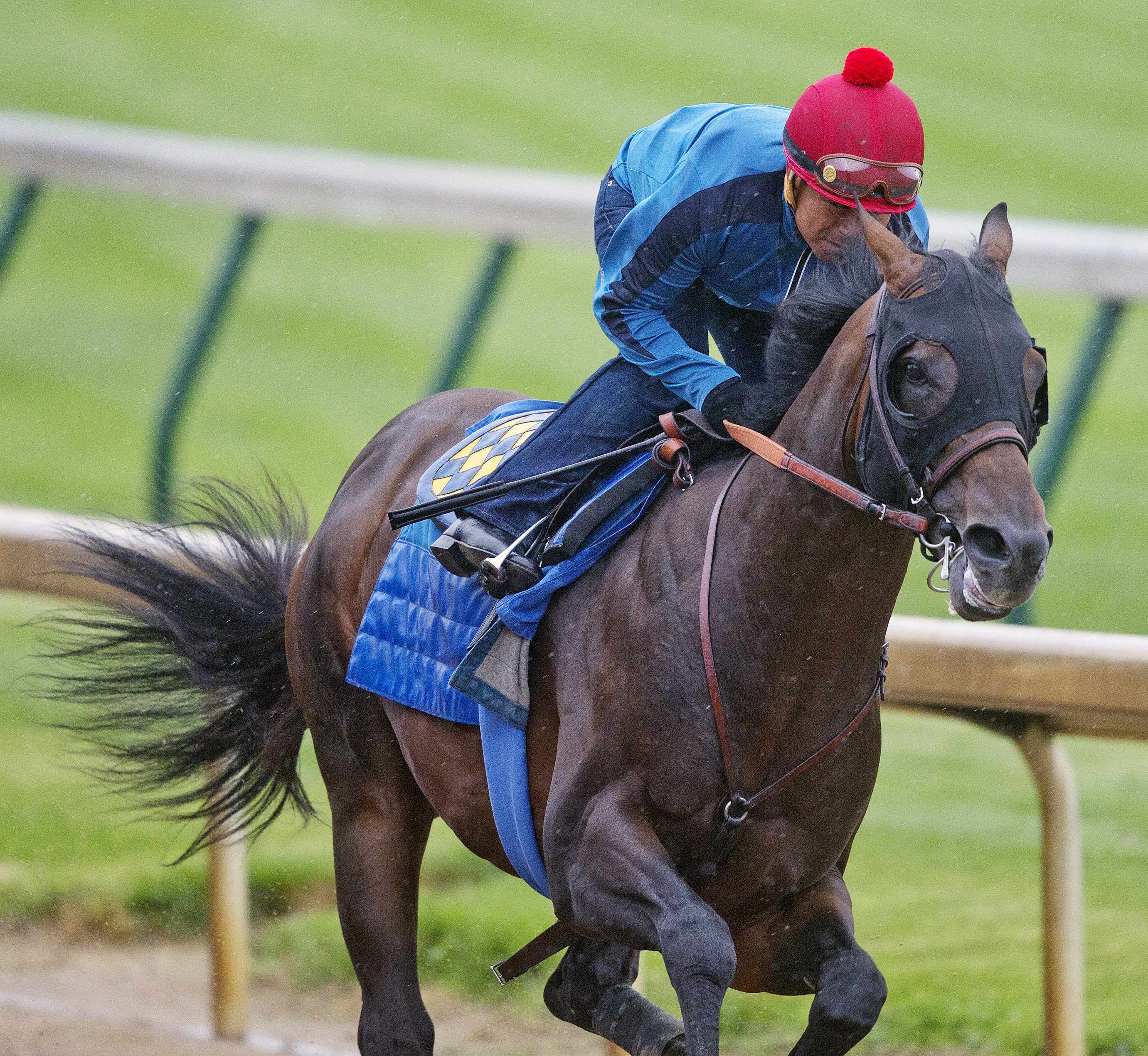 Bayern breezes at Churchill Downs on June 1