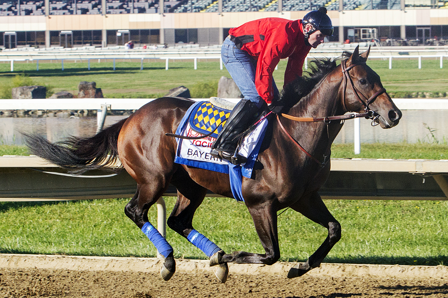 Bayern trains at Parx on Sept. 17