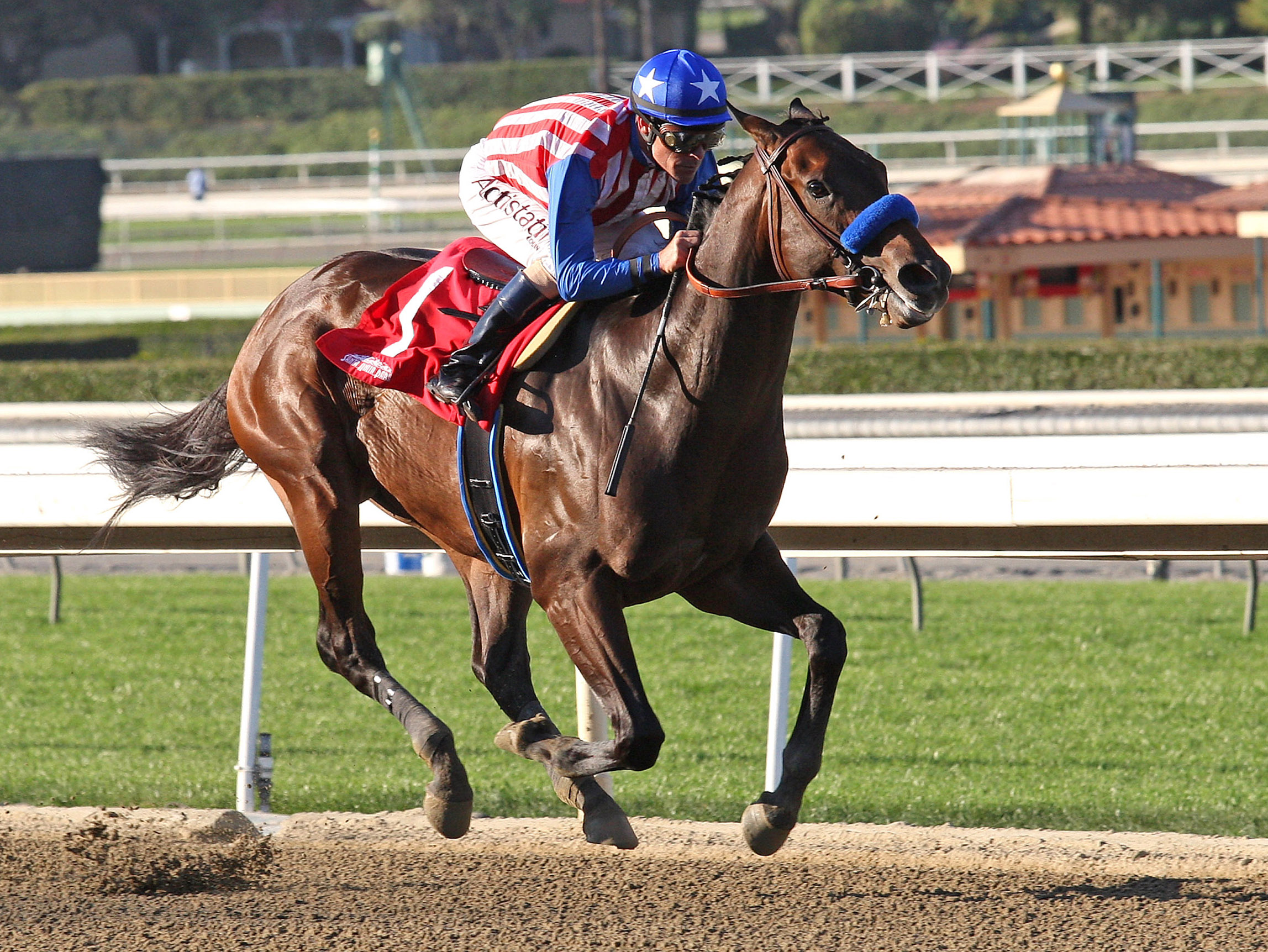 Bayern wins an allowance race