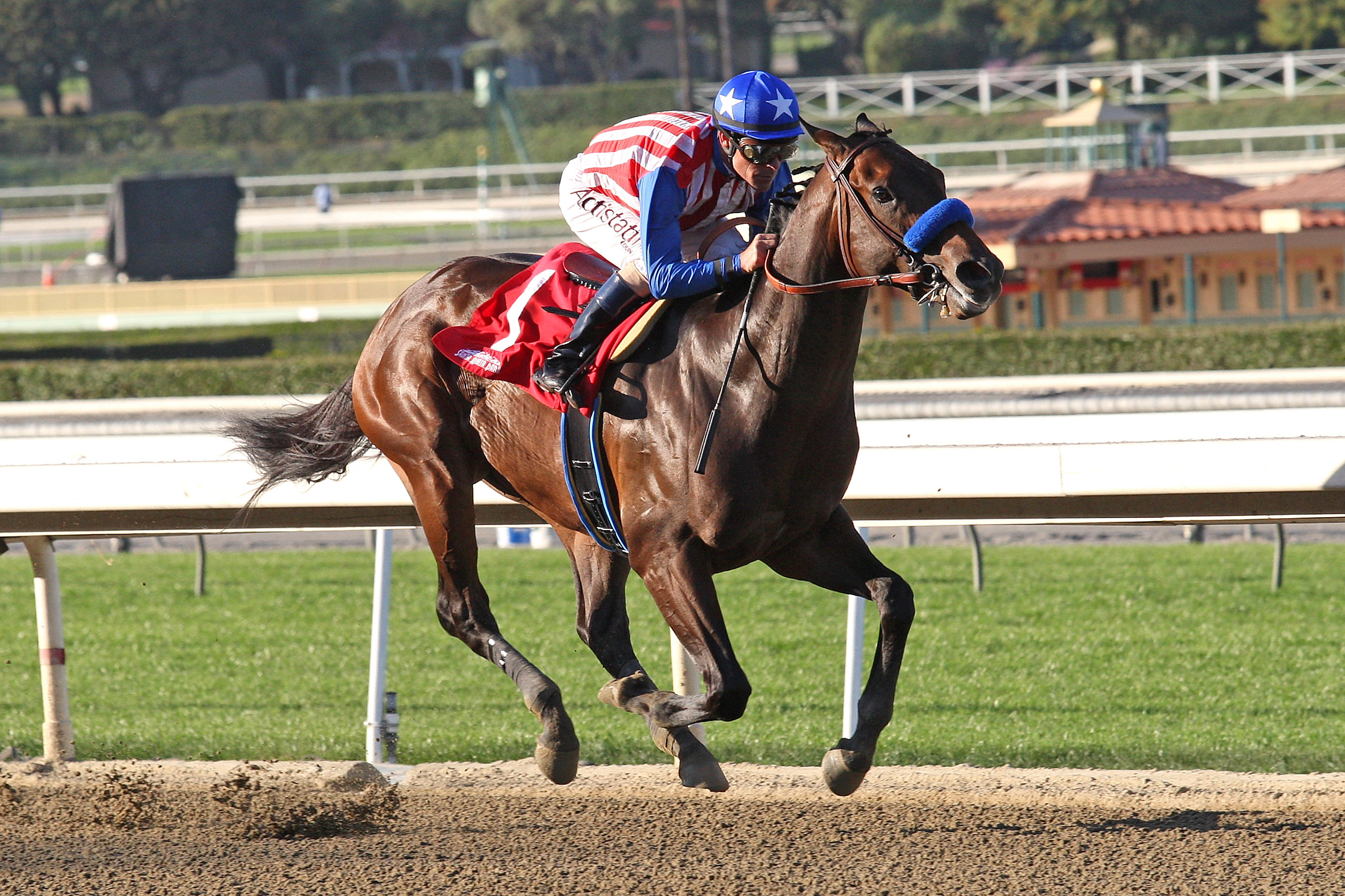 Bayern wins an allowance race
