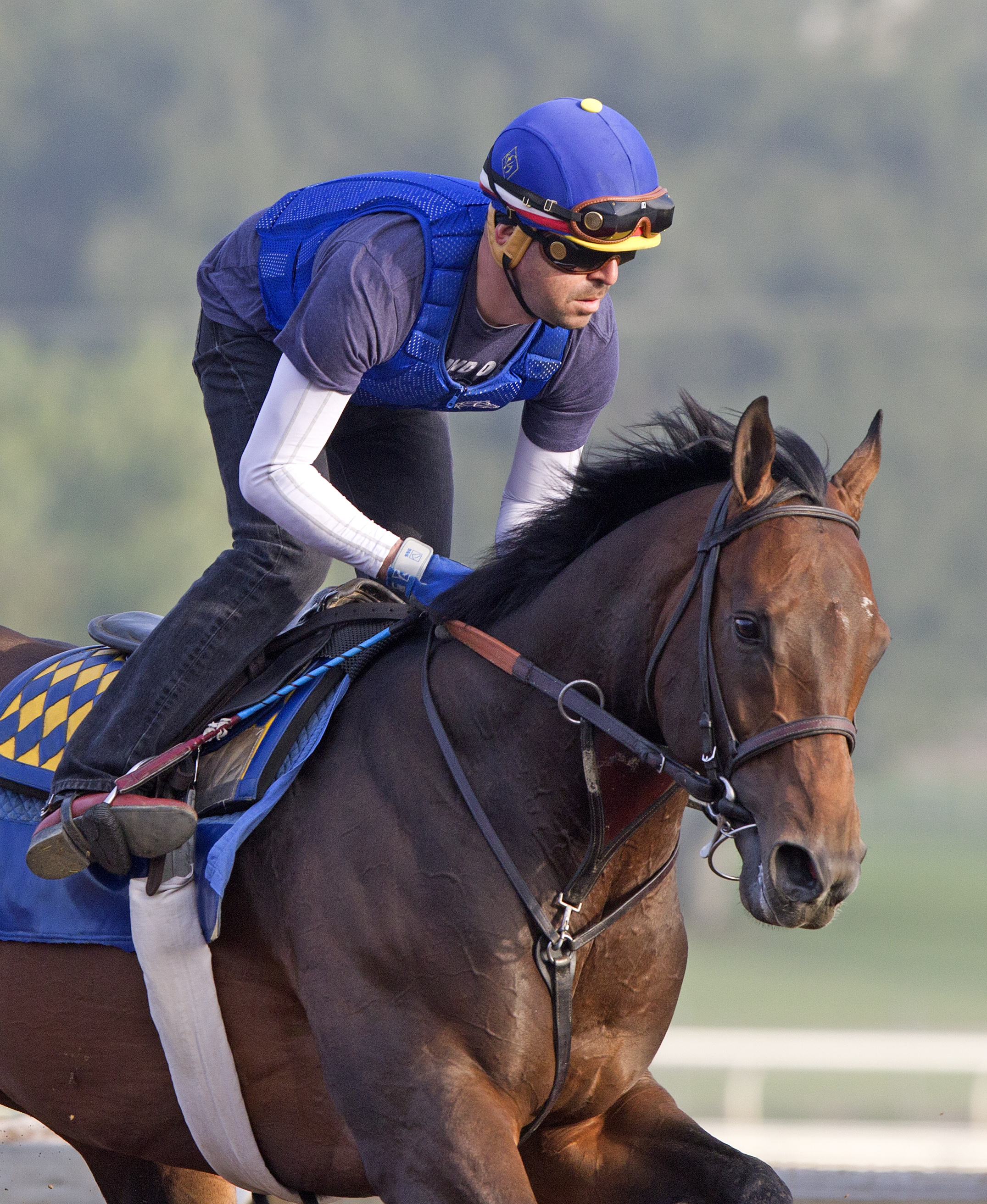 Bayern at Santa Anita on Feb. 19