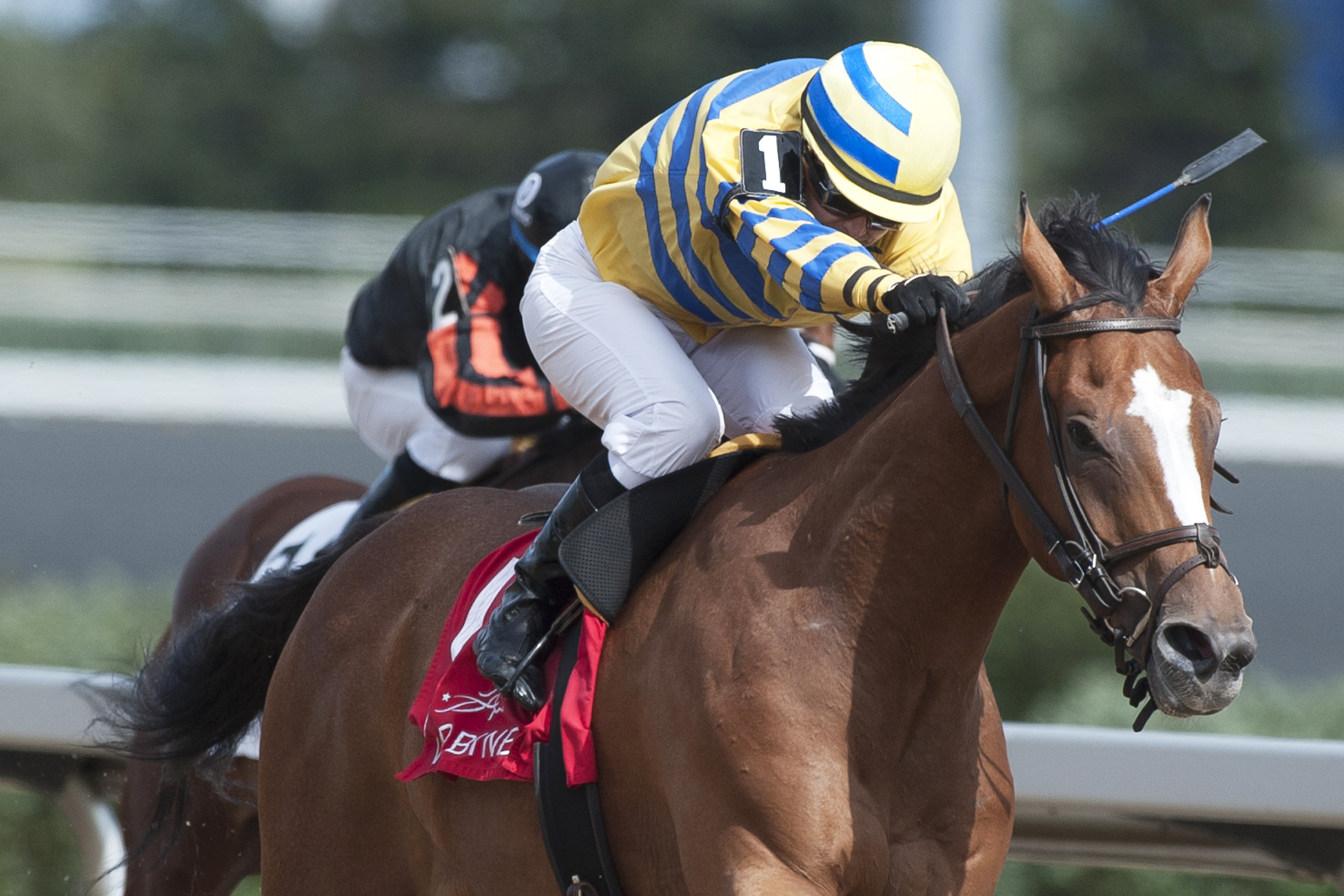 Be Vewy Vewy Quiet wins the 2017 Clarendon Stakes
