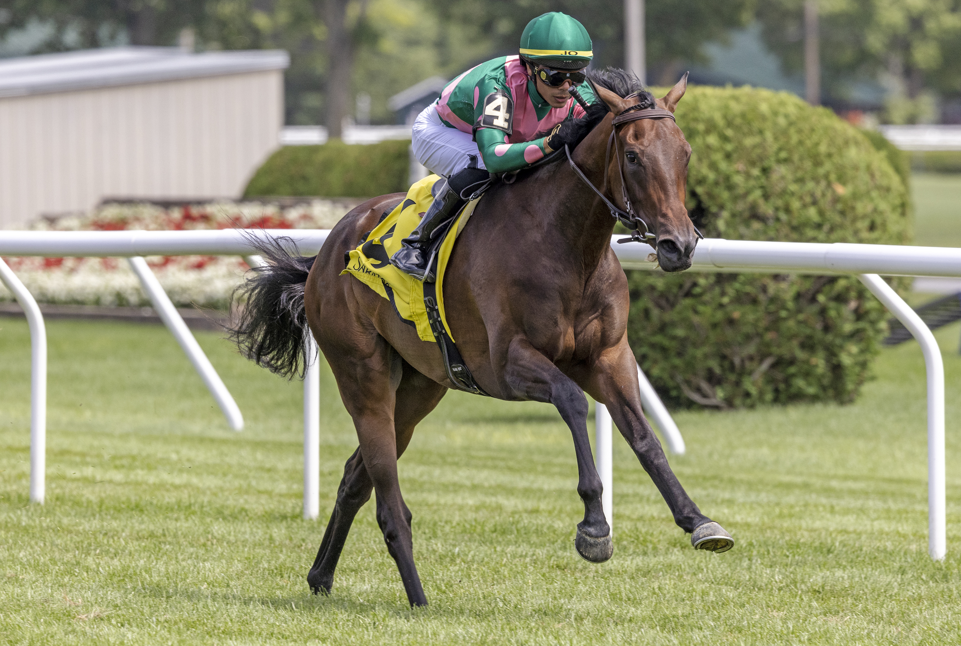 Be Your Best wins debut at Saratoga July 31 2022