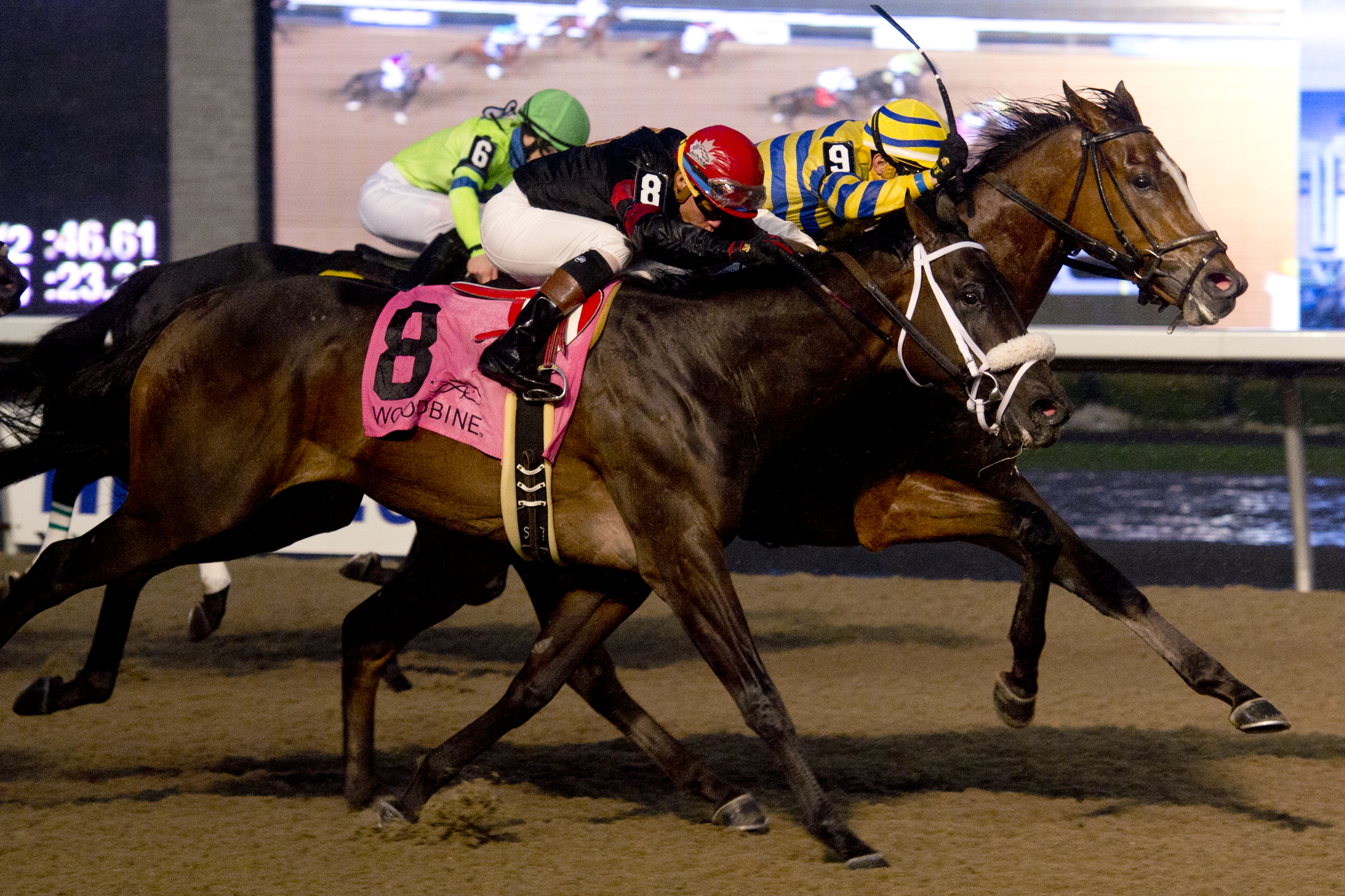 Be Vewy Vewy Quiet wins the 2017 Frost King Stakes