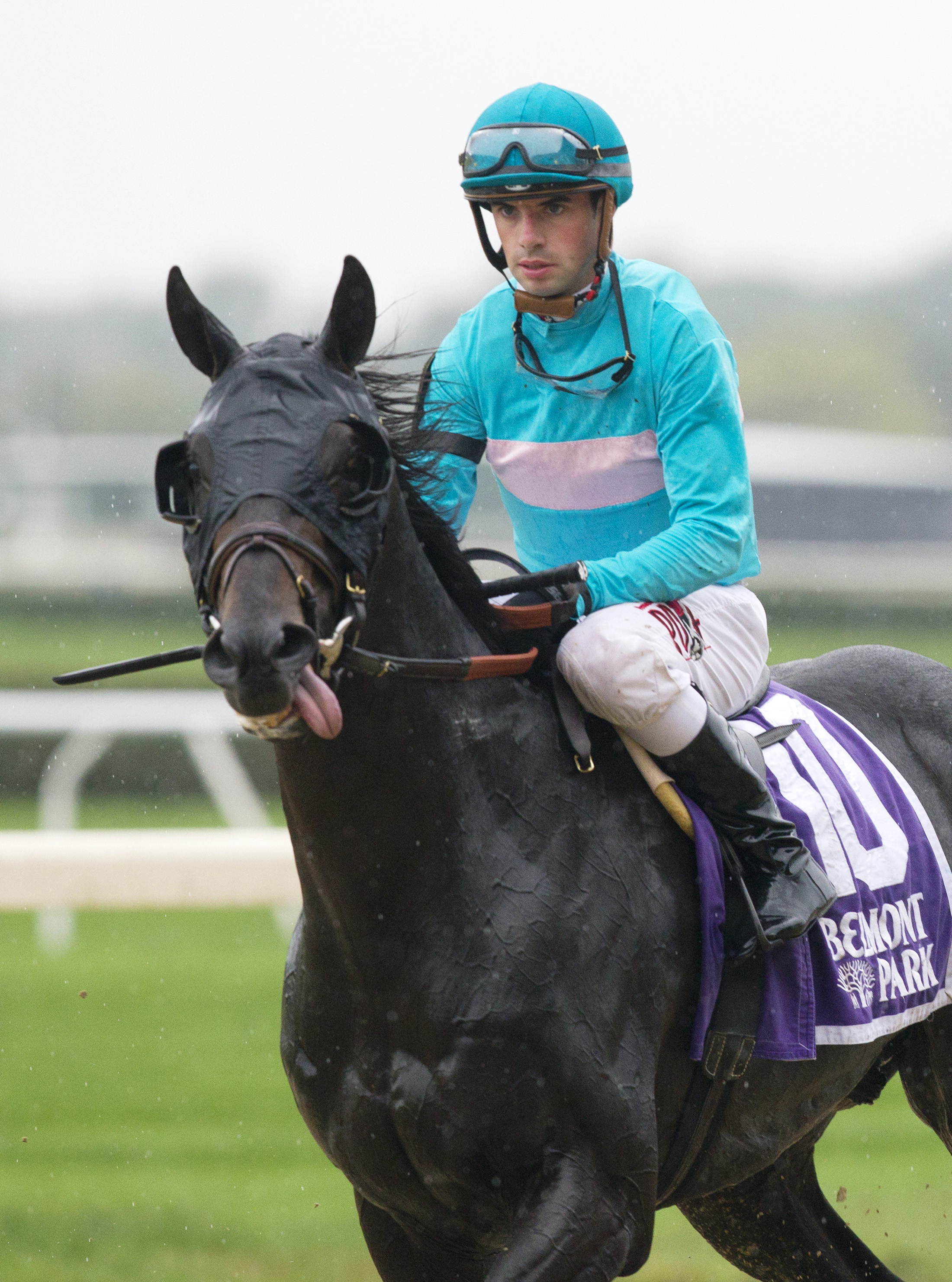 Beach Patrol at the 2016 Hill Prince Stakes