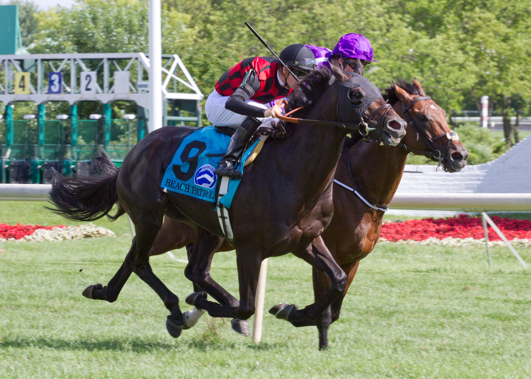 Beach Patrol wins the Secretariat Stakes