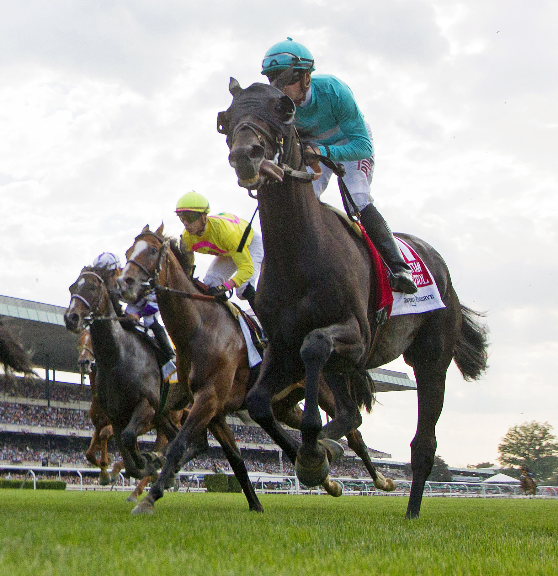 Beach Patrol finishes fourth in the Manhattan Stakes
