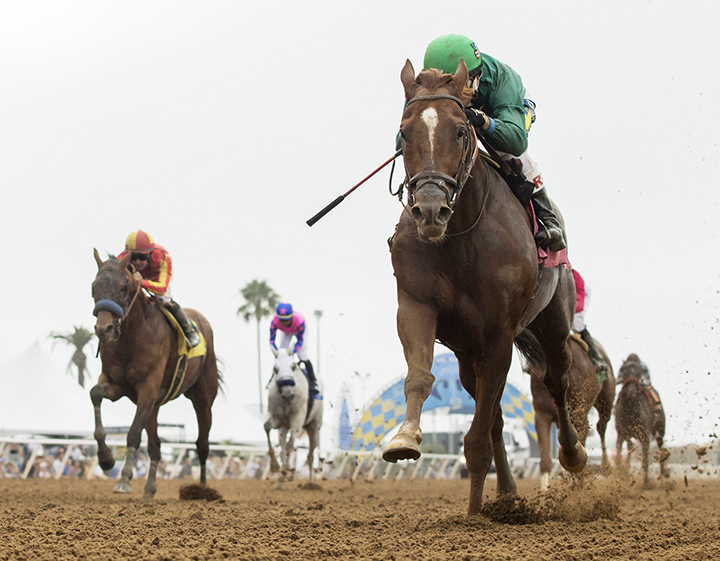Beach View wins the 2018 Cougar II Handicap